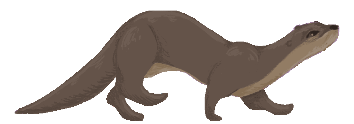 Walking Otter